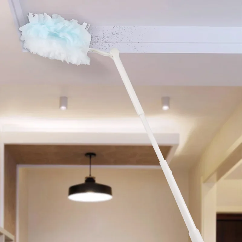 Bulk Duster Borstel Wegwerp Du - Car Cleaning Brush recensie en prijs